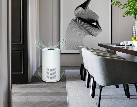 Purificatore d'aria da tavolo 2023 per stanze medie da 30 m2 con sensore H13 Purificatore d'aria domestico